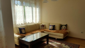 Гостиница Apartman Magnolia  Будва